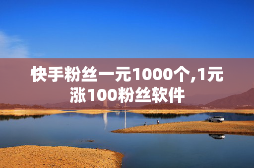 快手粉丝一元1000个,1元涨100粉丝软件