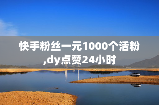 快手粉丝一元1000个活粉,dy点赞24小时