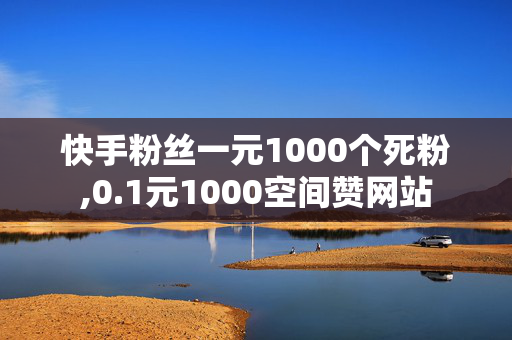 快手粉丝一元1000个死粉,0.1元1000空间赞网站