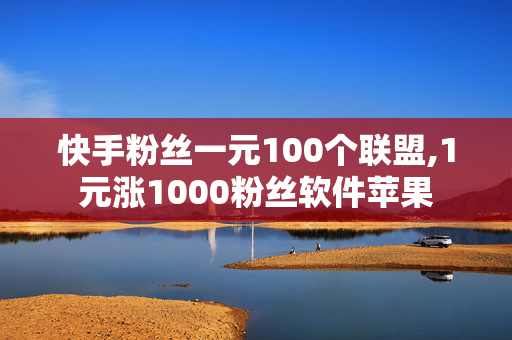 快手粉丝一元100个联盟,1元涨1000粉丝软件苹果