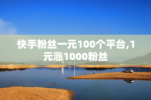 快手粉丝一元100个平台,1元涨1000粉丝