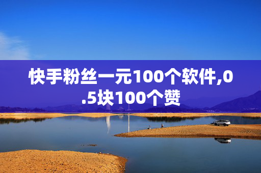 快手粉丝一元100个软件,0.5块100个赞