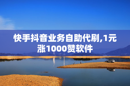 快手抖音业务自助代刷,1元涨1000赞软件