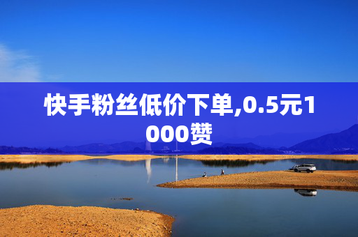 快手粉丝低价下单,0.5元1000赞