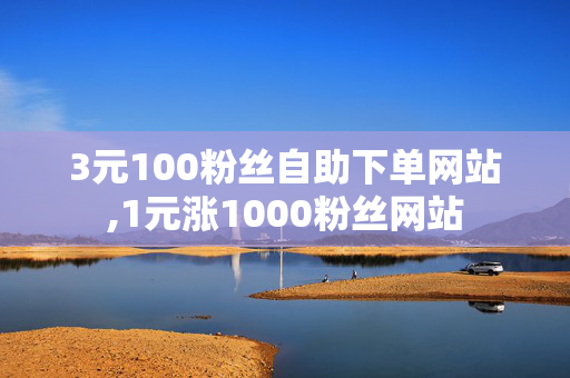 3元100粉丝自助下单网站,1元涨1000粉丝网站