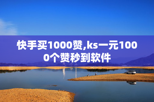 快手买1000赞,ks一元1000个赞秒到软件