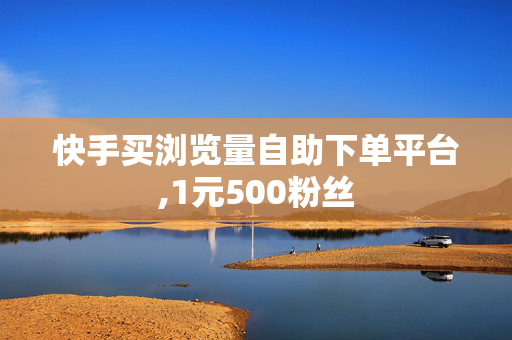 快手买浏览量自助下单平台,1元500粉丝