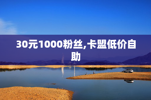 30元1000粉丝,卡盟低价自助