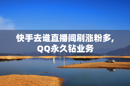 快手去谁直播间刷涨粉多,QQ永久钻业务