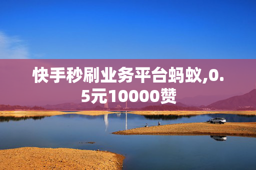 快手秒刷业务平台蚂蚁,0.5元10000赞