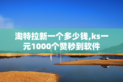 淘特拉新一个多少钱,ks一元1000个赞秒到软件