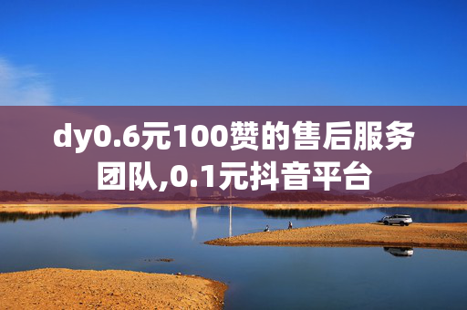 dy0.6元100赞的售后服务团队,0.1元抖音平台