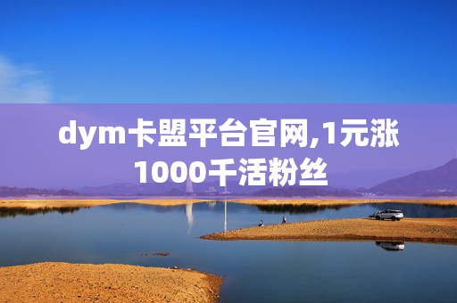 dym卡盟平台官网,1元涨1000千活粉丝