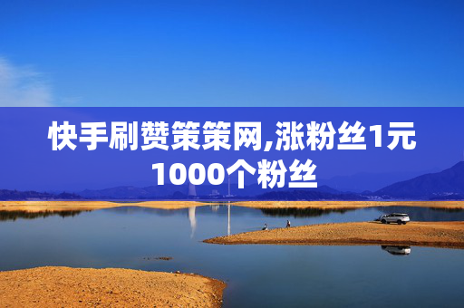 快手刷赞策策网,涨粉丝1元1000个粉丝