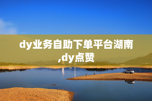 dy业务自助下单平台湖南,dy点赞