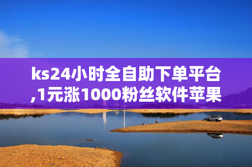 ks24小时全自助下单平台,1元涨1000粉丝软件苹果