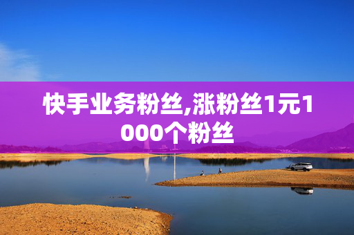 快手业务粉丝,涨粉丝1元1000个粉丝