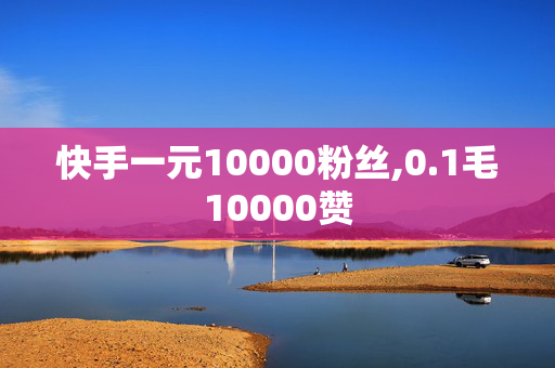 快手一元10000粉丝,0.1毛10000赞