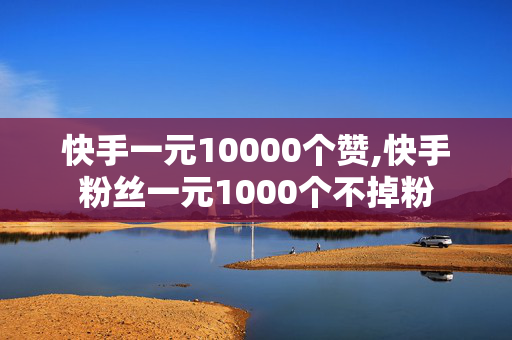 快手一元10000个赞,快手粉丝一元1000个不掉粉