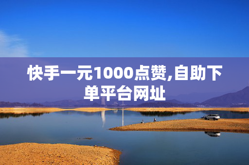 快手一元1000点赞,自助下单平台网址