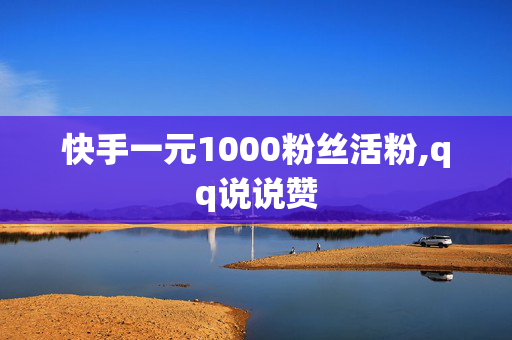 快手一元1000粉丝活粉,qq说说赞