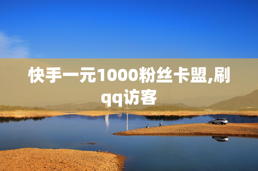 快手一元1000粉丝卡盟,刷qq访客