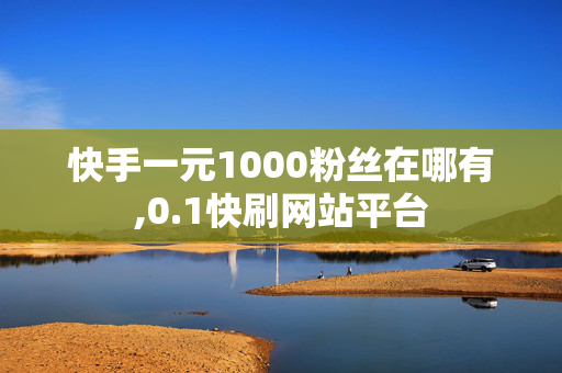 快手一元1000粉丝在哪有,0.1快刷网站平台