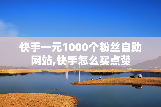 快手一元1000个粉丝自助网站,快手怎么买点赞