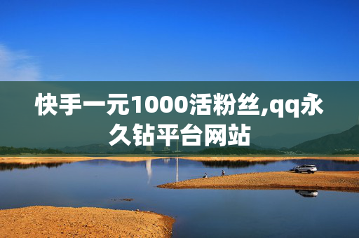 快手一元1000活粉丝,qq永久钻平台网站