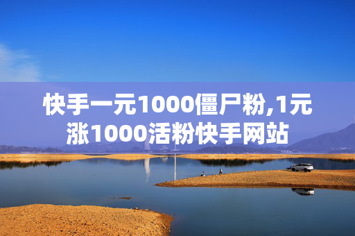 快手一元1000僵尸粉,1元涨1000活粉快手网站