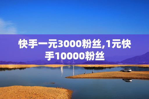 快手一元3000粉丝,1元快手10000粉丝