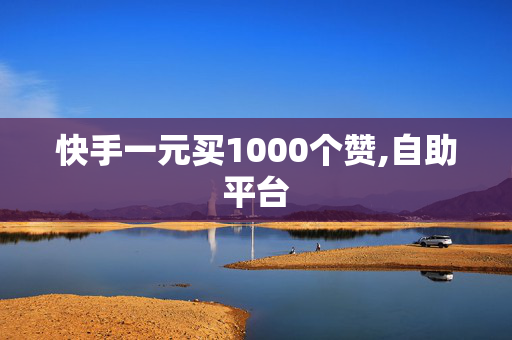 快手一元买1000个赞,自助平台