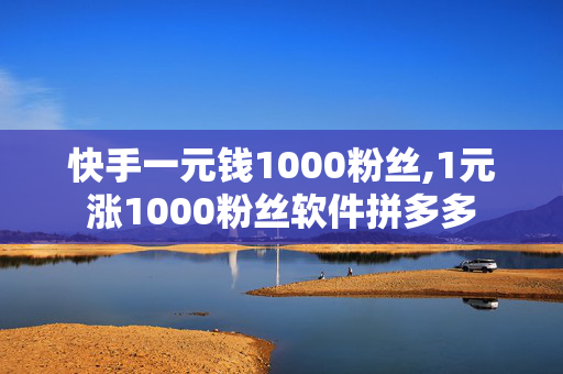 快手一元钱1000粉丝,1元涨1000粉丝软件拼多多