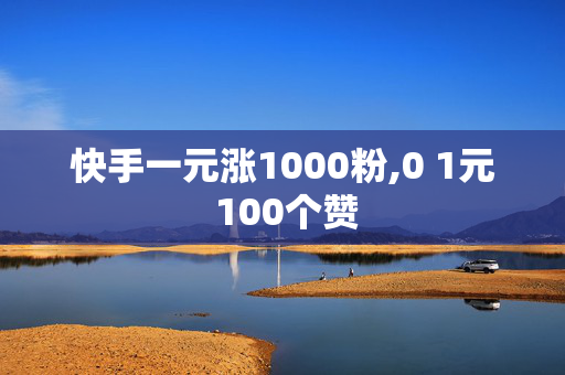 快手一元涨1000粉,0 1元 100个赞