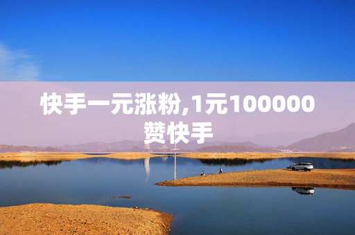 快手一元涨粉,1元100000赞快手