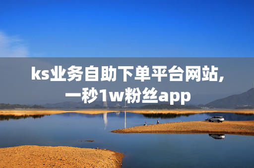 ks业务自助下单平台网站,一秒1w粉丝app