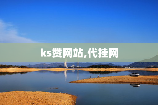 ks赞网站,代挂网