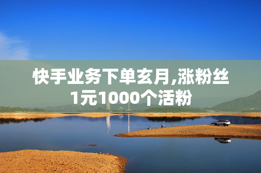 快手业务下单玄月,涨粉丝1元1000个活粉