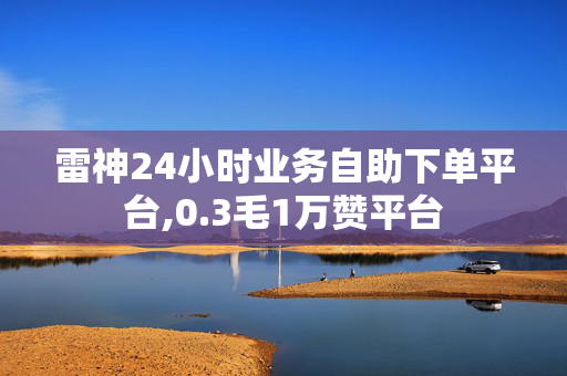 雷神24小时业务自助下单平台,0.3毛1万赞平台