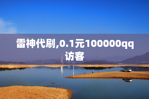 雷神代刷,0.1元100000qq访客