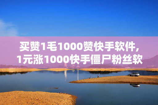 买赞1毛1000赞快手软件,1元涨1000快手僵尸粉丝软件