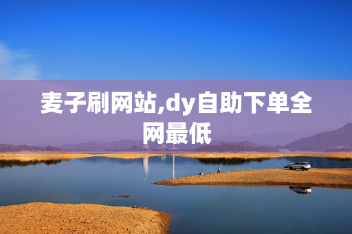 麦子刷网站,dy自助下单全网最低