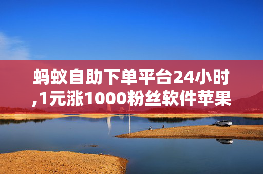 蚂蚁自助下单平台24小时,1元涨1000粉丝软件苹果