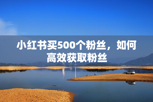 小红书买500个粉丝，如何高效获取粉丝