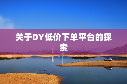 关于DY低价下单平台的探索