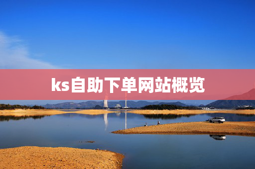 ks自助下单网站概览