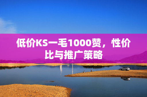 低价KS一毛1000赞，性价比与推广策略