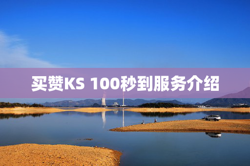 买赞KS 100秒到服务介绍