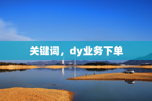 关键词，dy业务下单