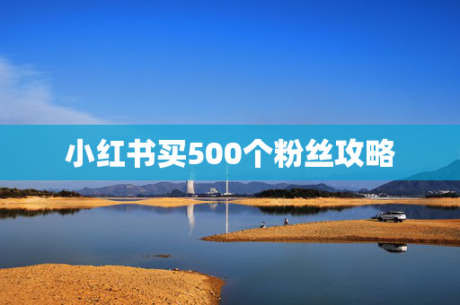 小红书买500个粉丝攻略